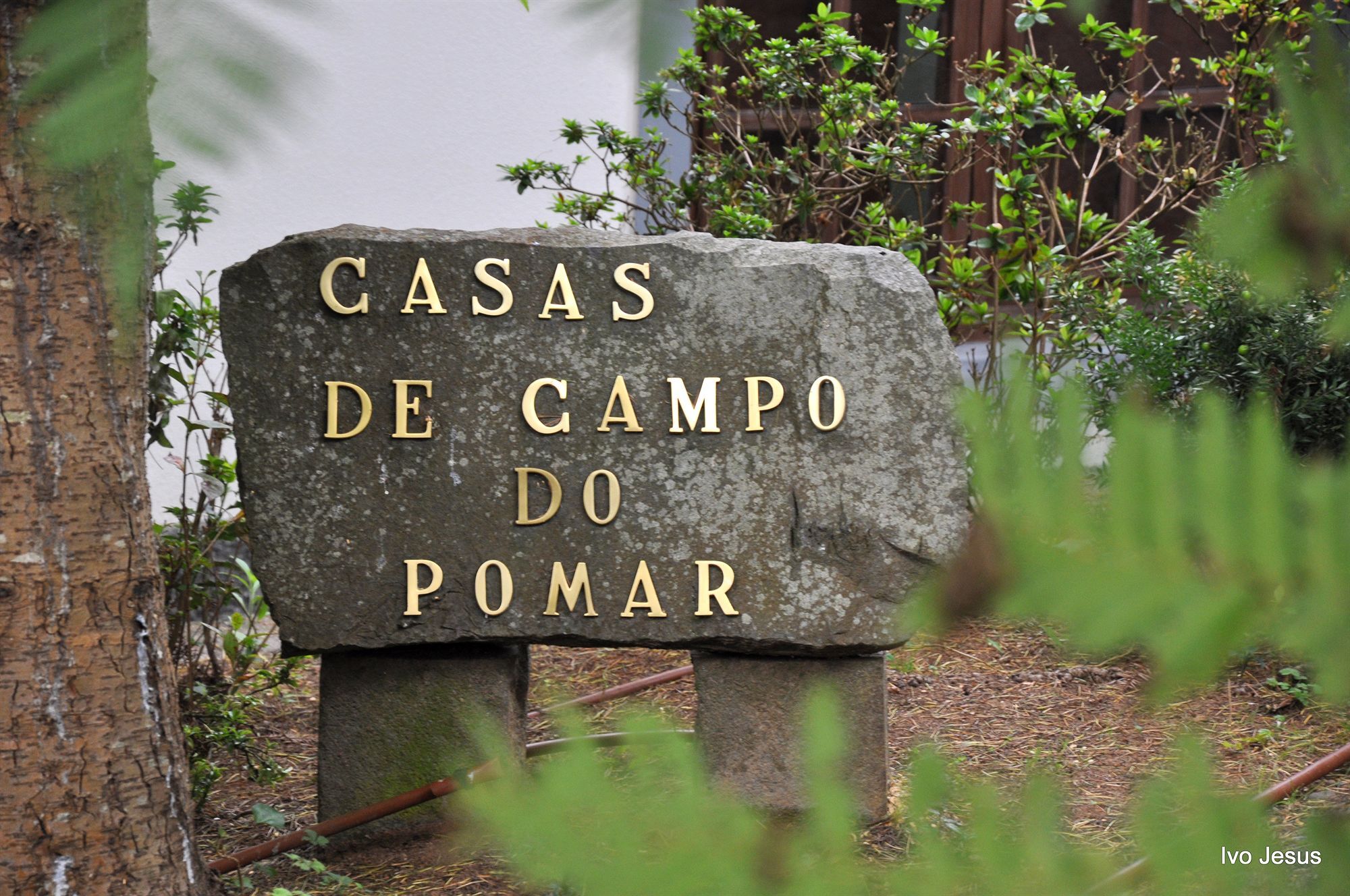 Casas De Campo Do Pomar B&B - Self Check-In Santana  Eksteriør bilde